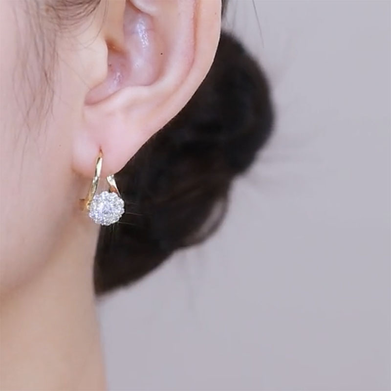 🎄Christmas Hot Sale✨Rotatable Zircon Earrings