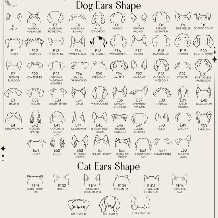 🐾 Personalised Pet Necklace with Name