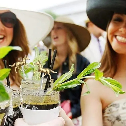 🐴Kentucky Derby Horse Drink Stirrers - Set of 6