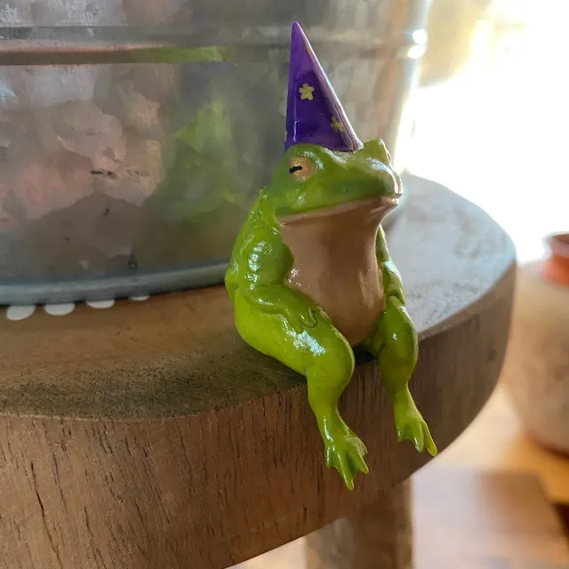 🐸Funny Frog Wizards