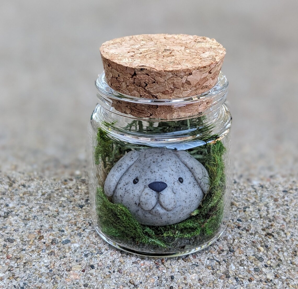 Adopt A Pet Rock