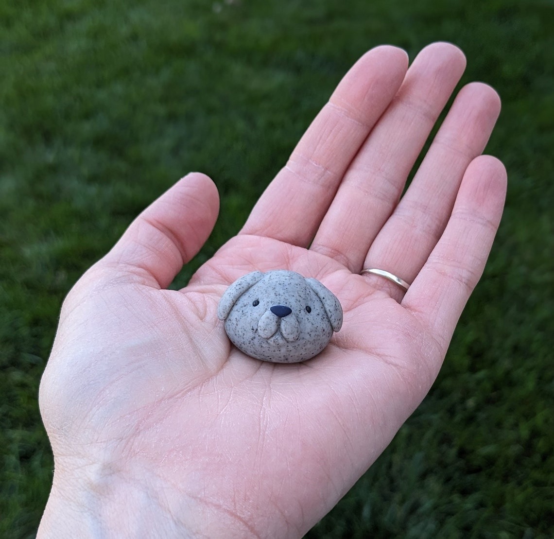 Adopt A Pet Rock
