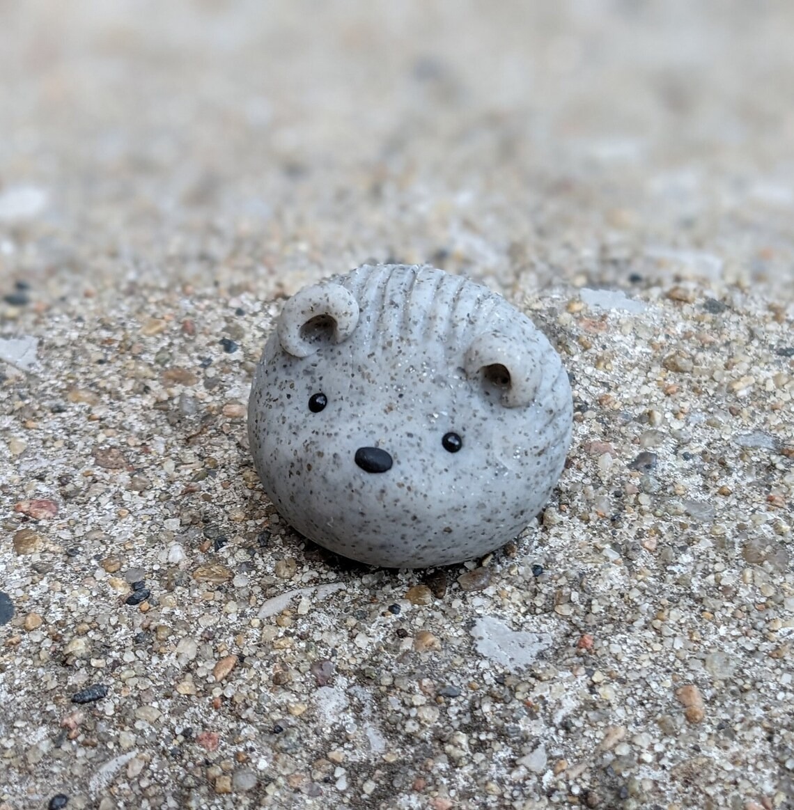 Adopt A Pet Rock