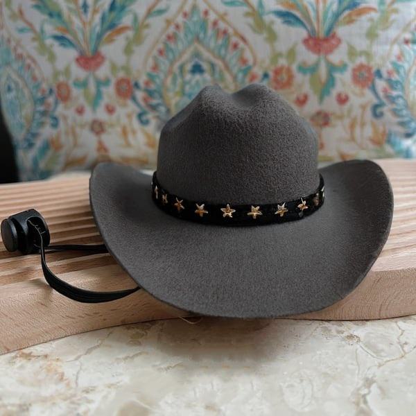 Cowboy Western Texas Pet Hat