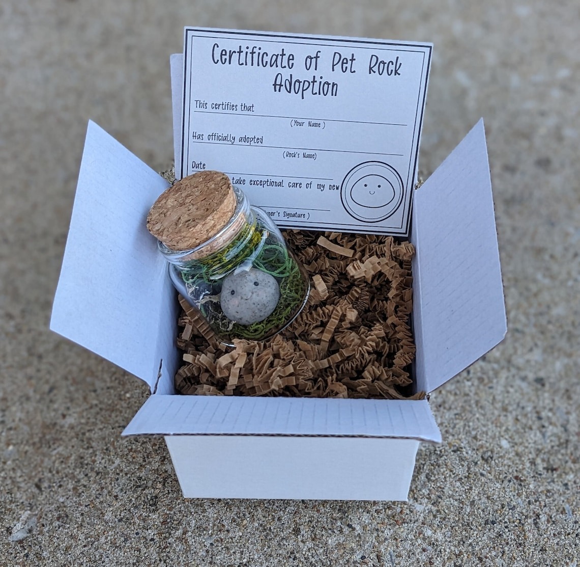 Adopt A Pet Rock