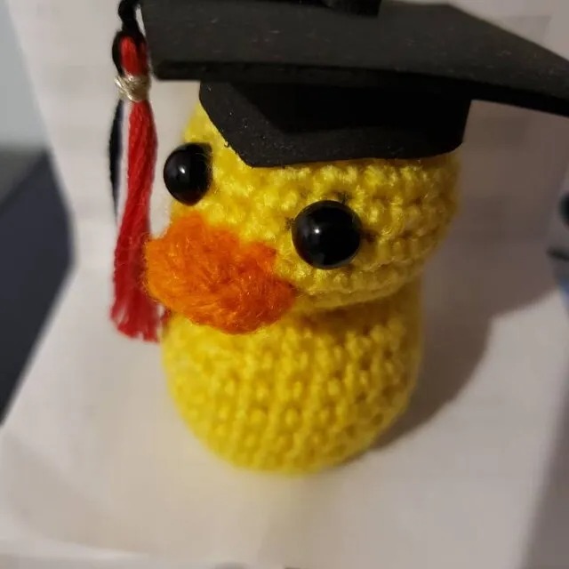 🎓️Graduation Duck