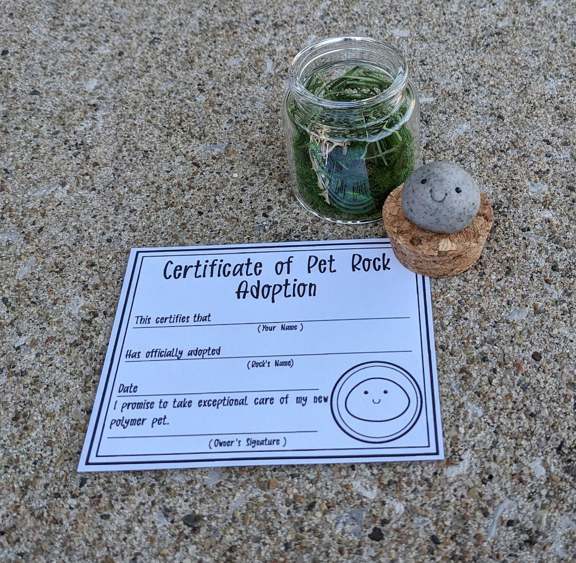 Adopt A Pet Rock