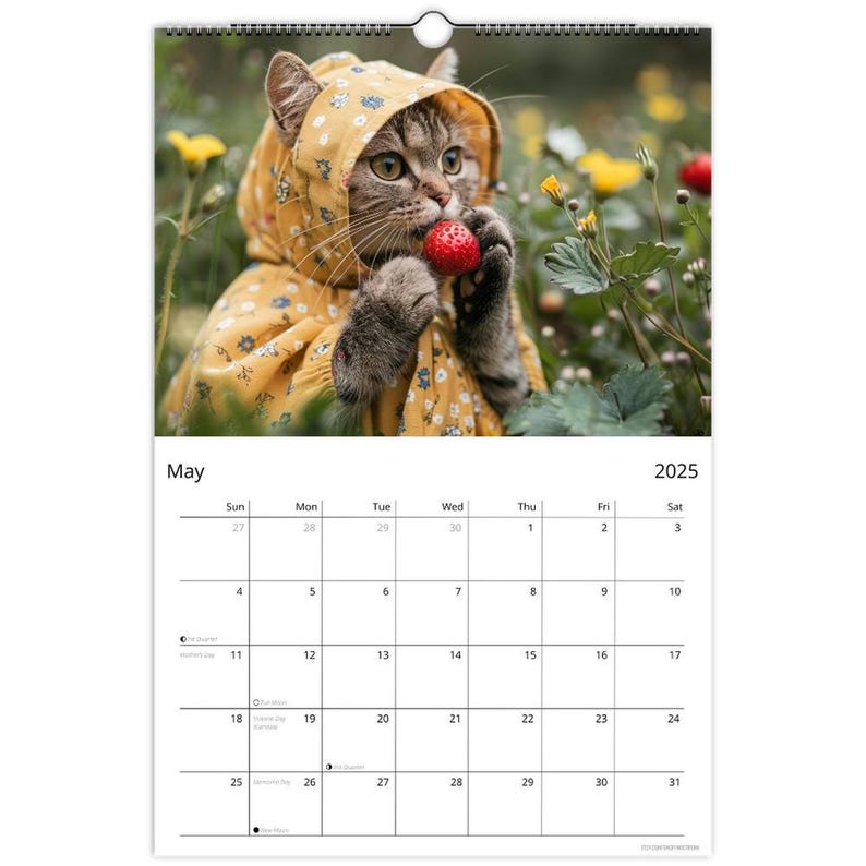 2025 Cat Calendar