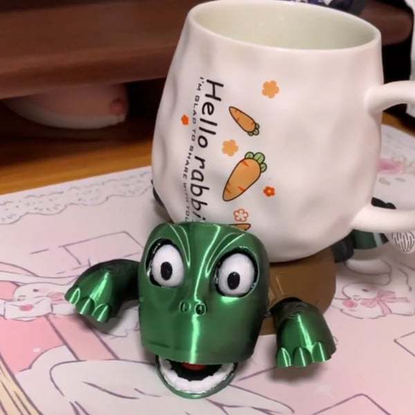 Funny Turtle Coasters
