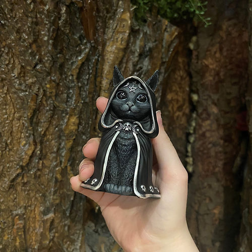 The mysterious guardian of Halloween - the wizard cat