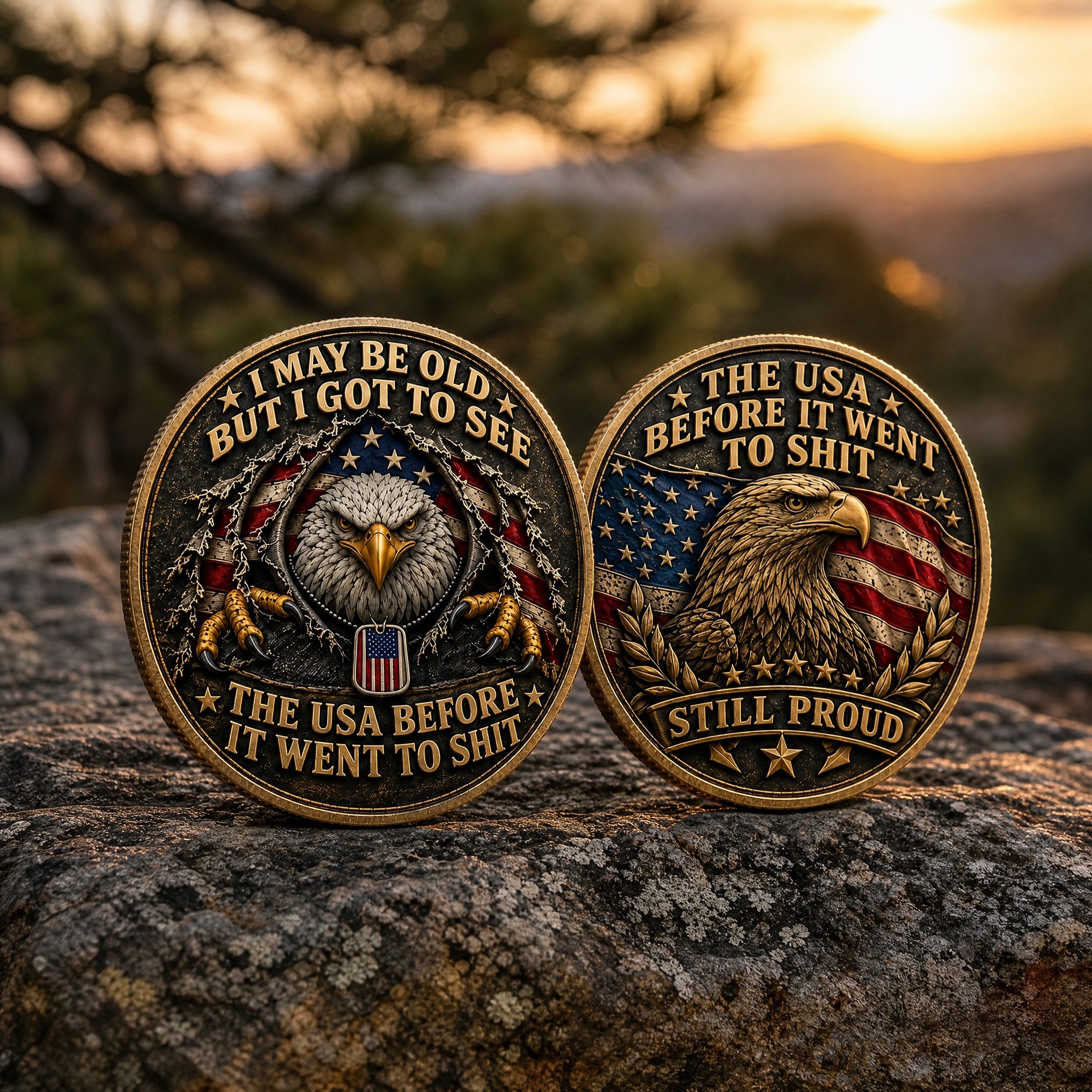 I May Be Old But I Got To See The USA Before It Went To Shit Challenge Coin
