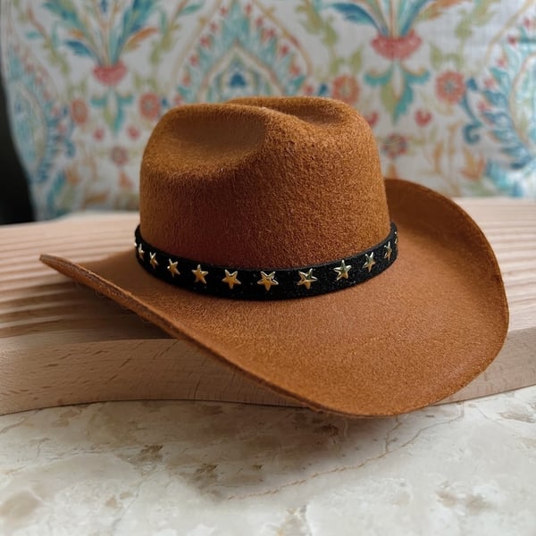 Cowboy Western Texas Pet Hat