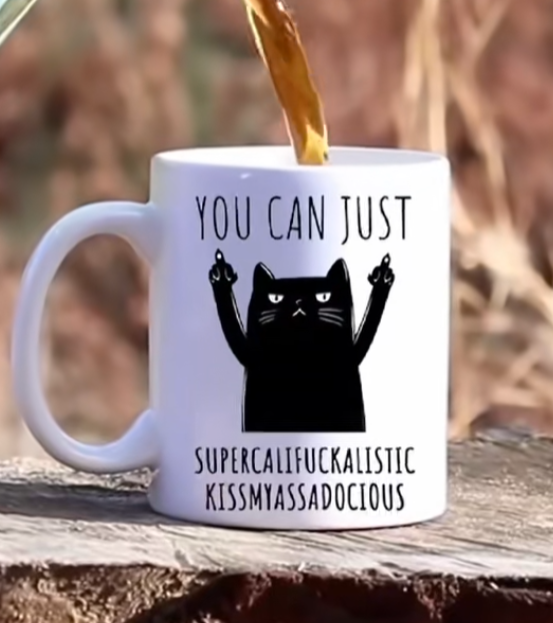 Funny cat text mug