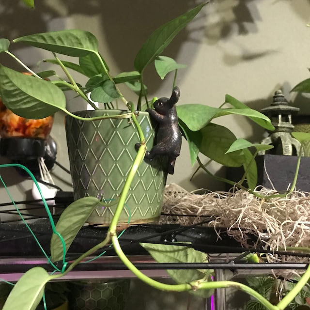 Hare pot hanger hanging pot ornament home / garden vintage style