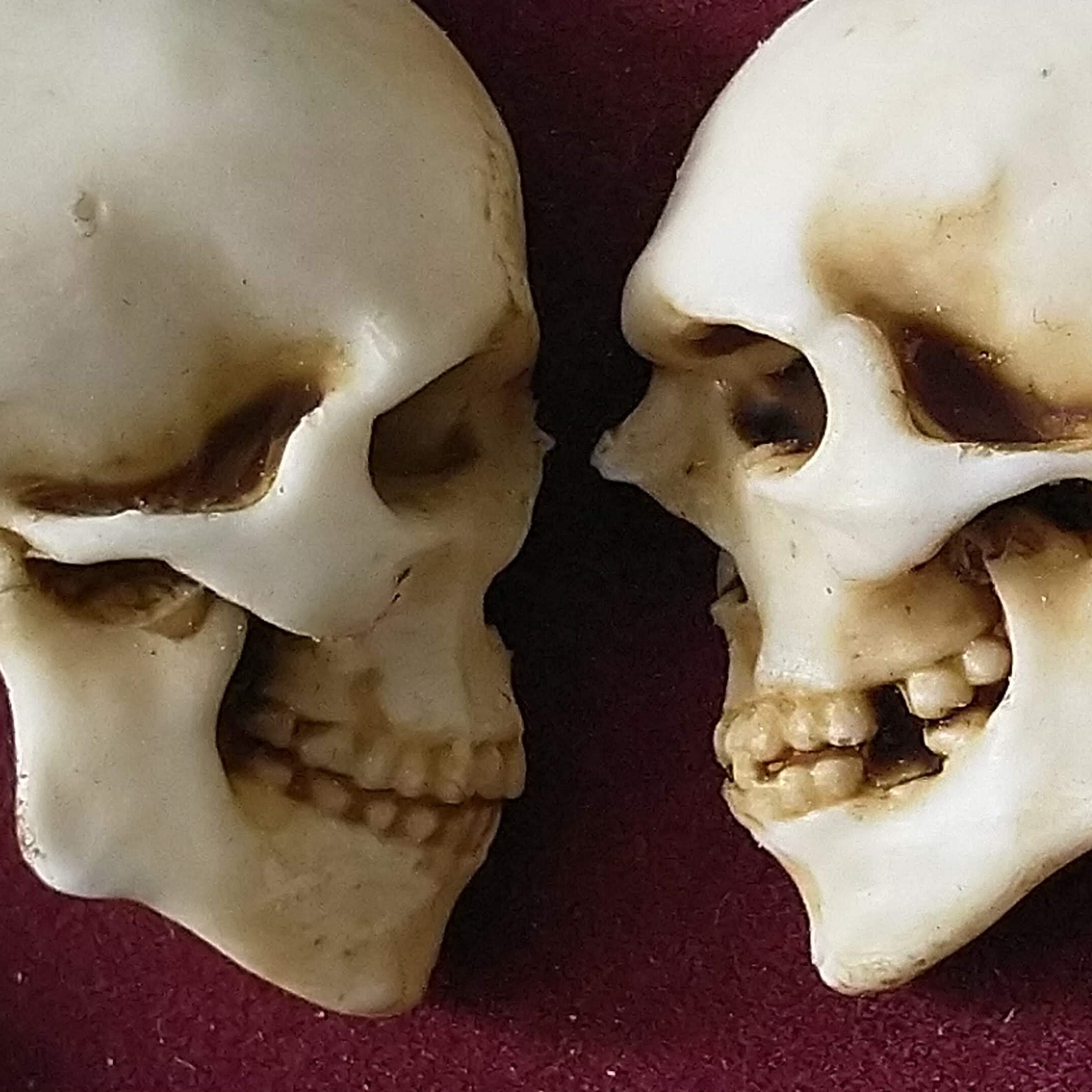 True love is forever - framed miniature realistic human skulls 
