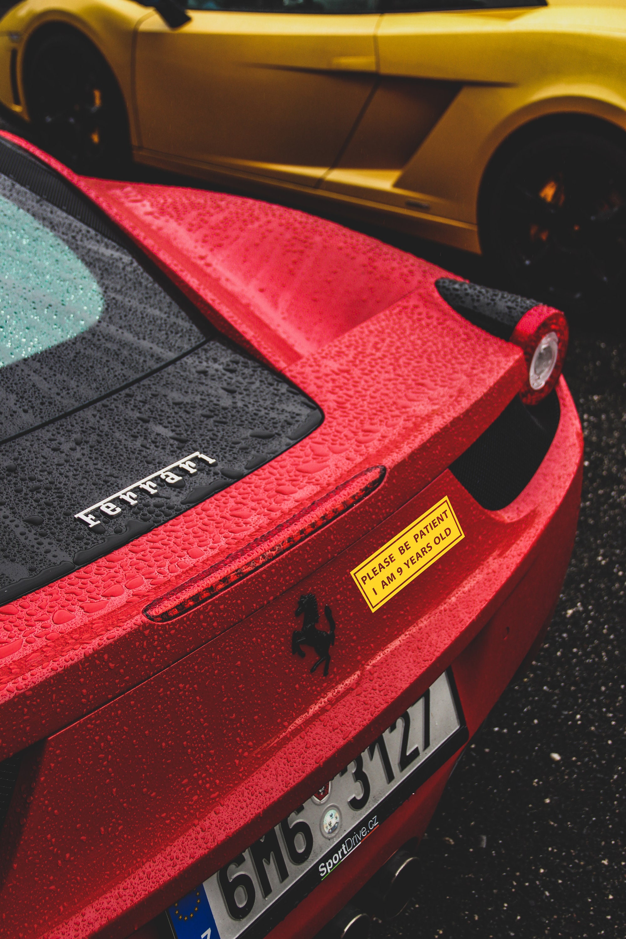 Funny Car Bumper Sticker