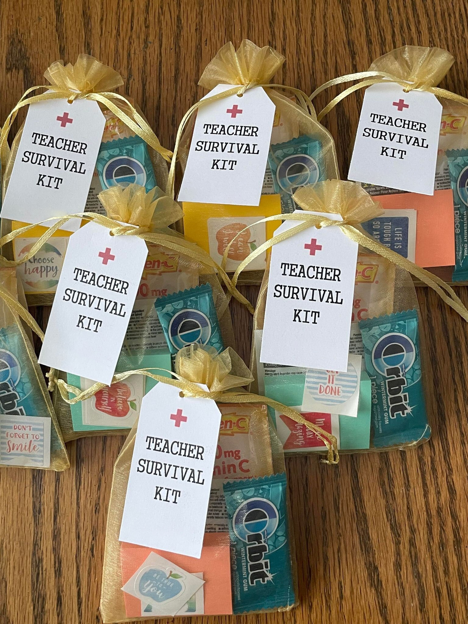 Teacher Survival Kit, Teacher Appreciation Gift, Teacher Survival Bag, 