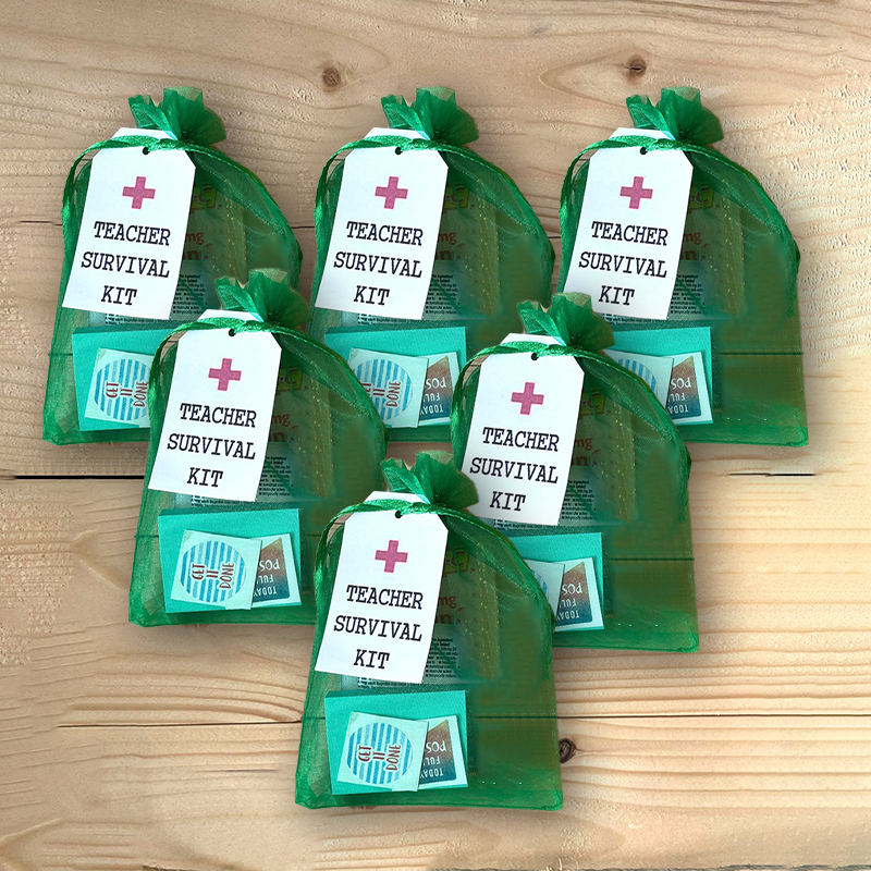 Teacher Survival Kit, Teacher Appreciation Gift, Teacher Survival Bag, 