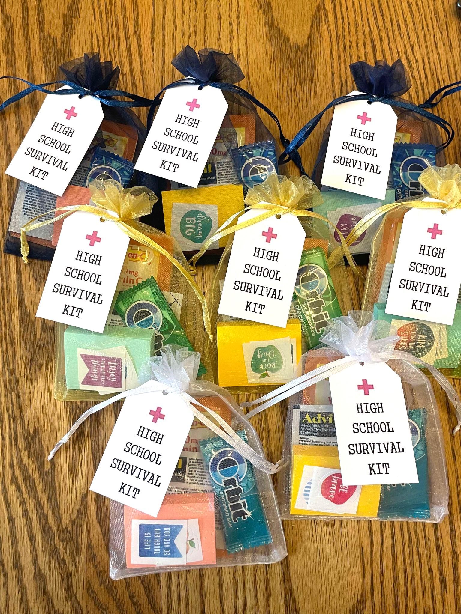 Teacher Survival Kit, Teacher Appreciation Gift, Teacher Survival Bag, 