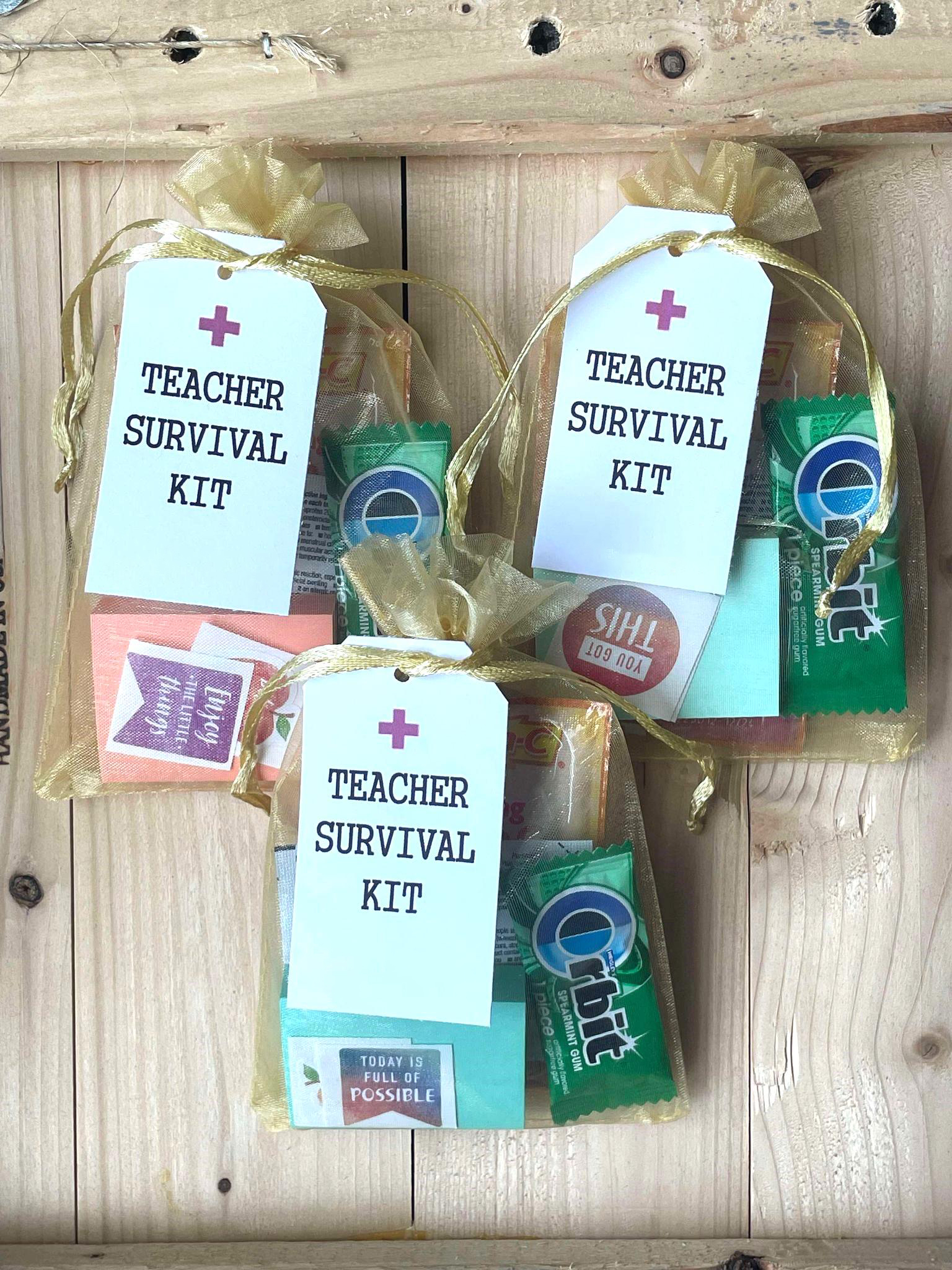 Teacher Survival Kit, Teacher Appreciation Gift, Teacher Survival Bag, 