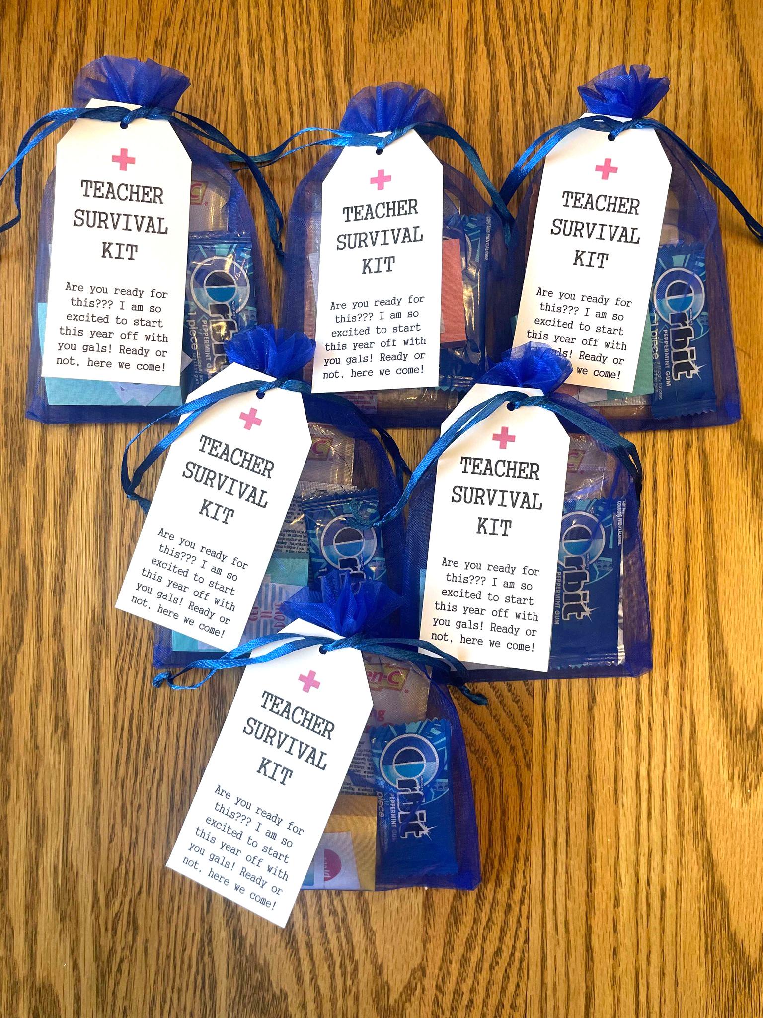 Teacher Survival Kit, Teacher Appreciation Gift, Teacher Survival Bag, 
