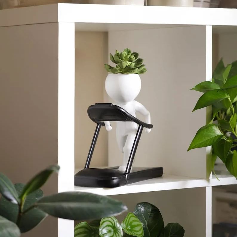 Sports Succulent Planter🏋️‍♂️