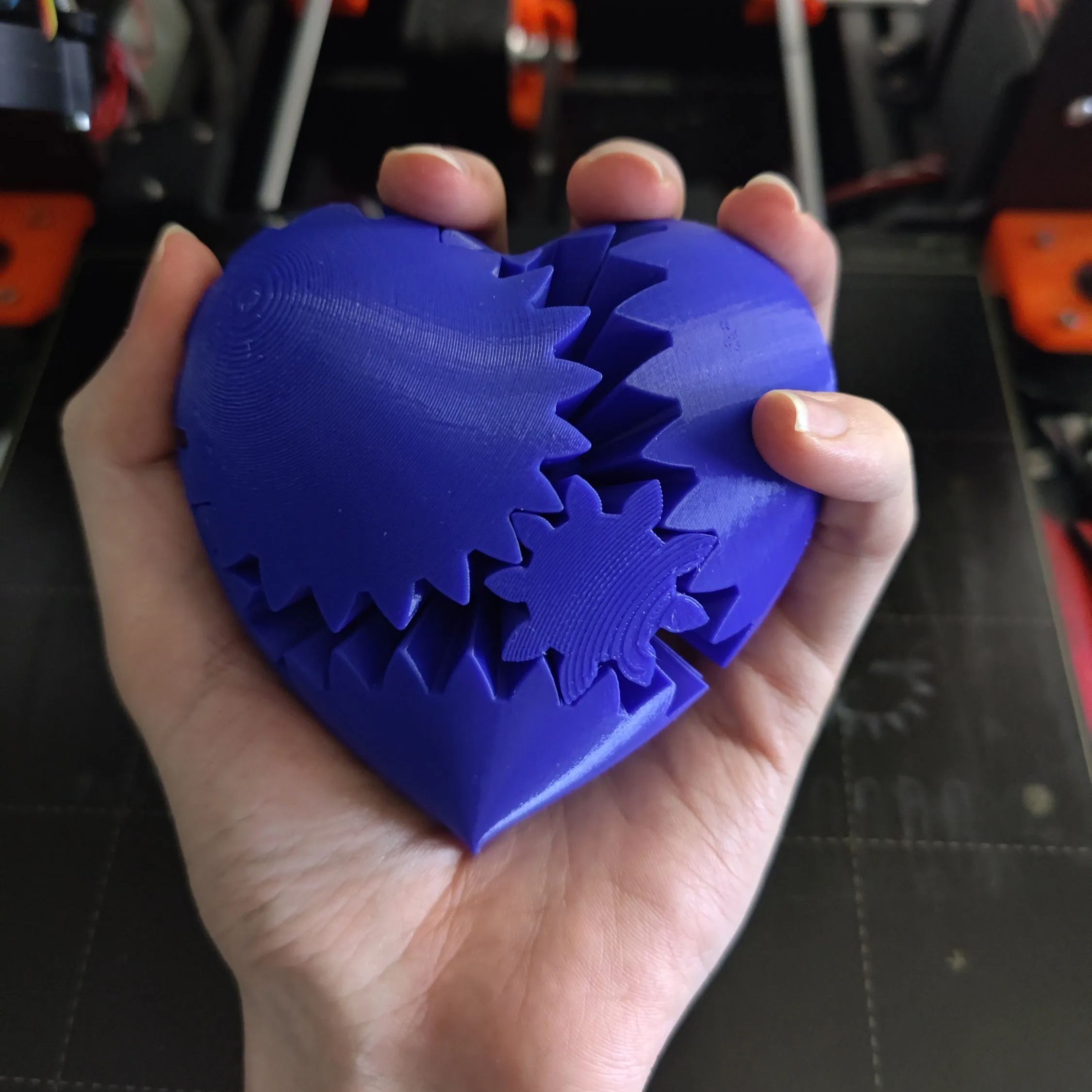 3D Printed Heart Gears