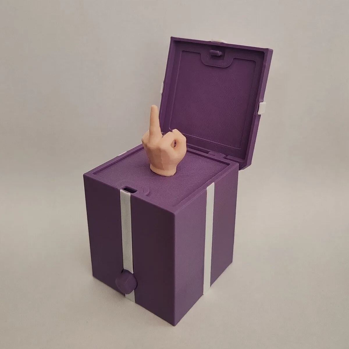 Middle Finger in a Box