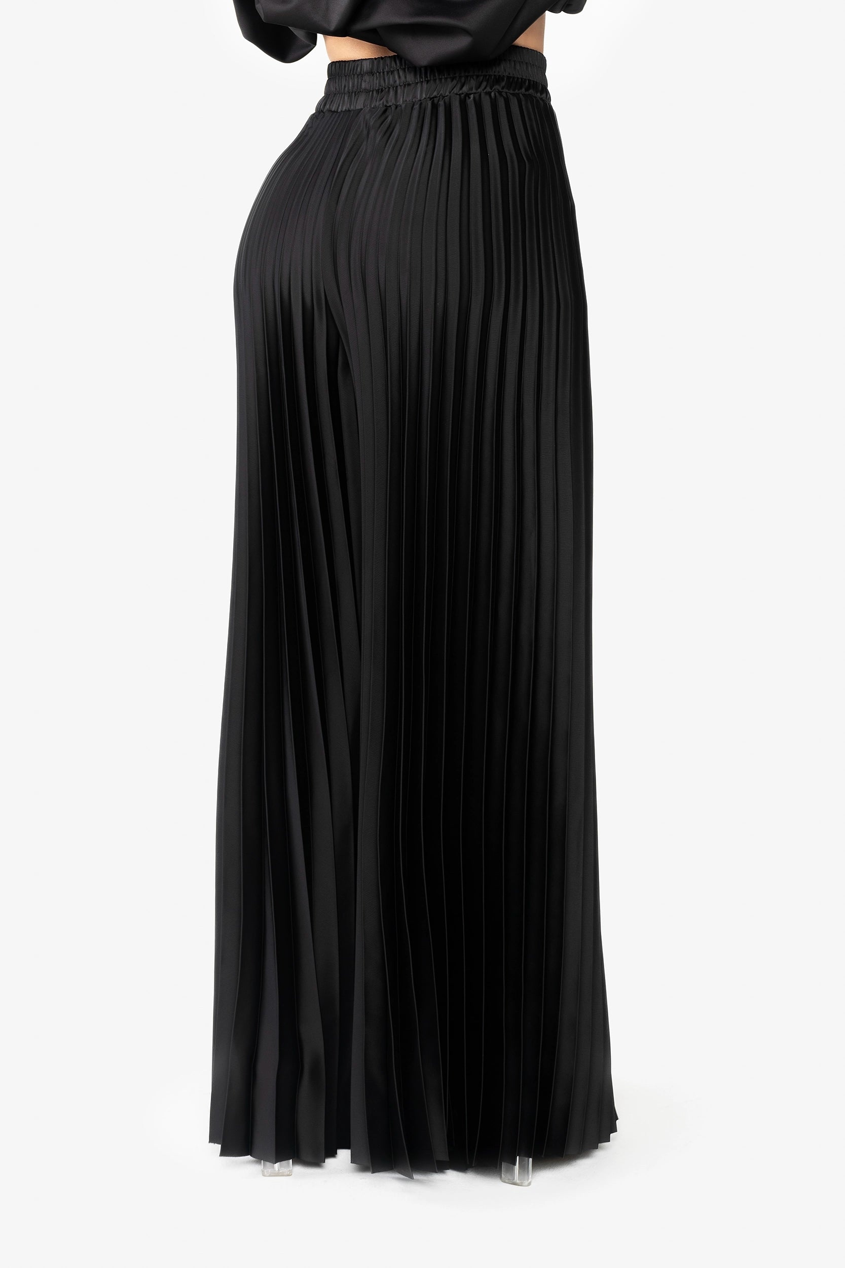 High-Waisted Pleated Wide-Leg Pants