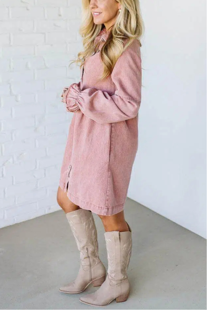 Sara Denim Shirt Dress