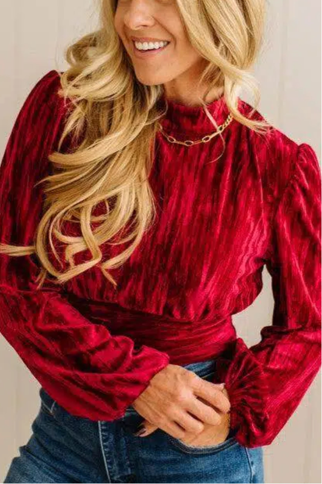 Holiday Vibe Velvet Top
