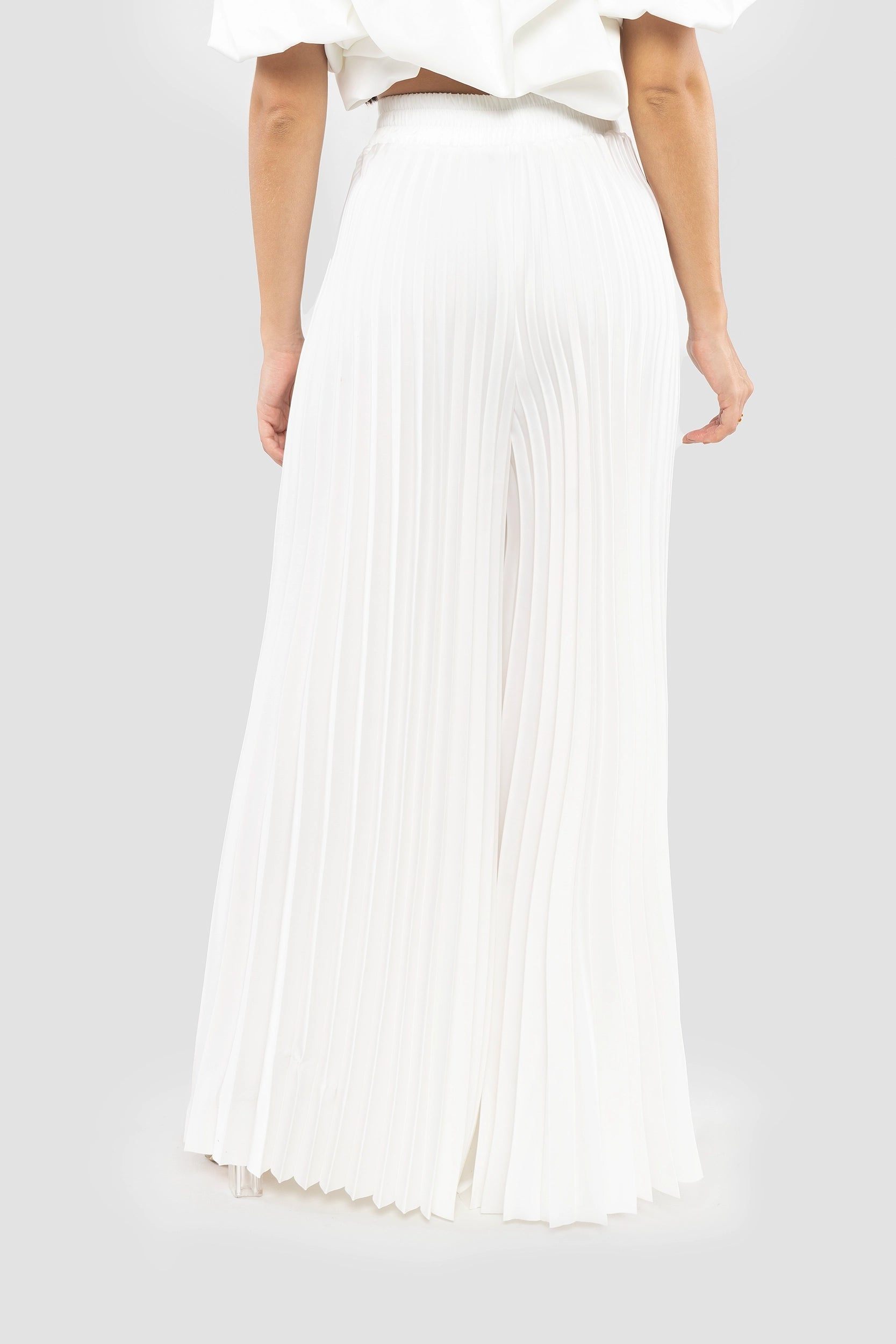 High-Waisted Pleated Wide-Leg Pants