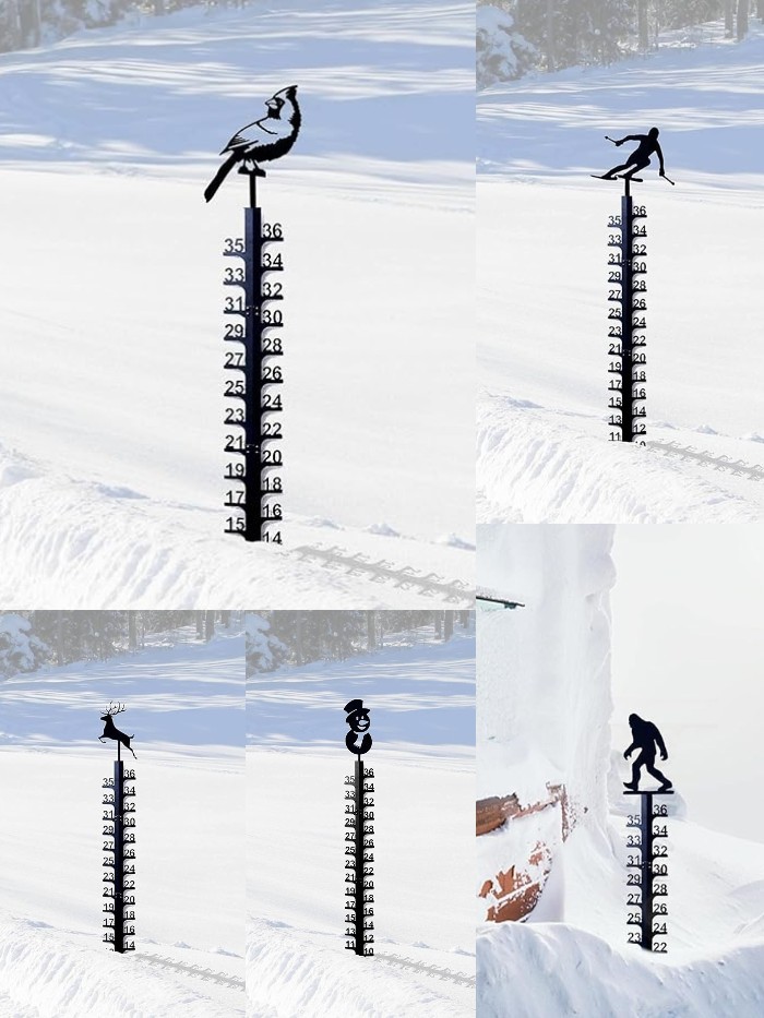 Cyber Monday Super Discount🔥Wrought Iron Snow Gauge (Various Patterns)