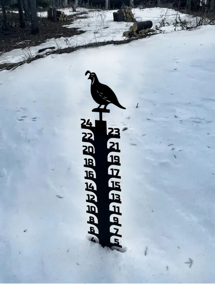 ❄Iron Art Snow Gauge-Great Unique Gift🎁