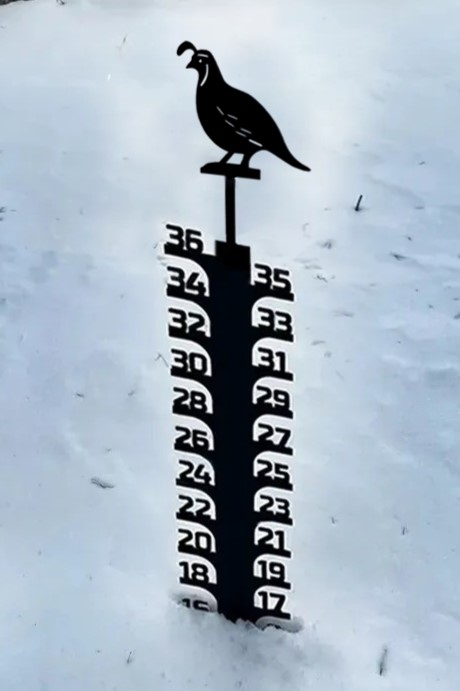 ❄Iron Art Snow Gauge-Great Unique Gift🎁