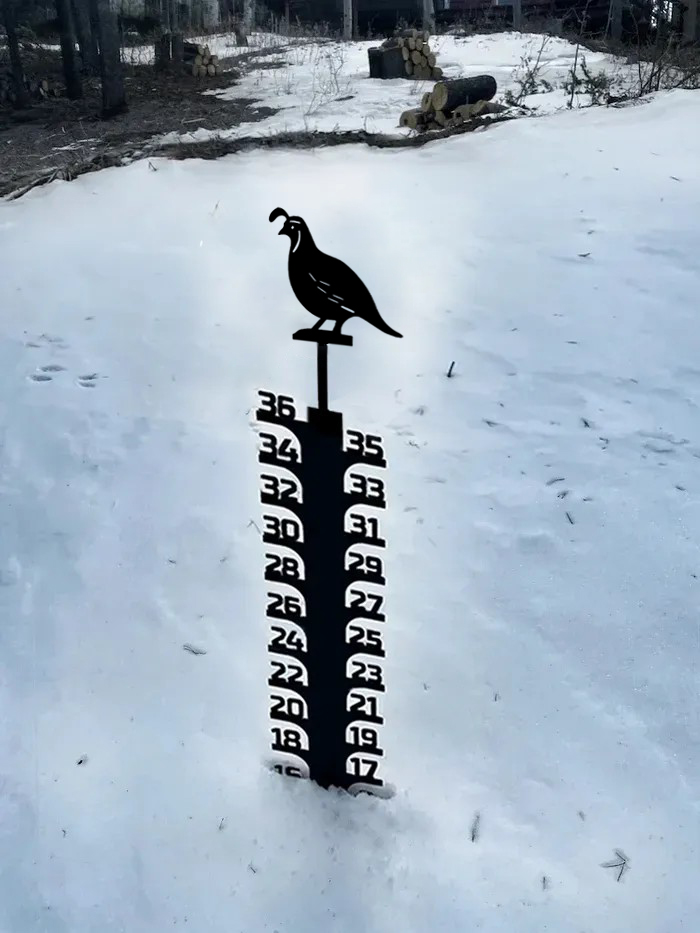 Christmas Sale 50% Off-Iron Art Snow Gauge