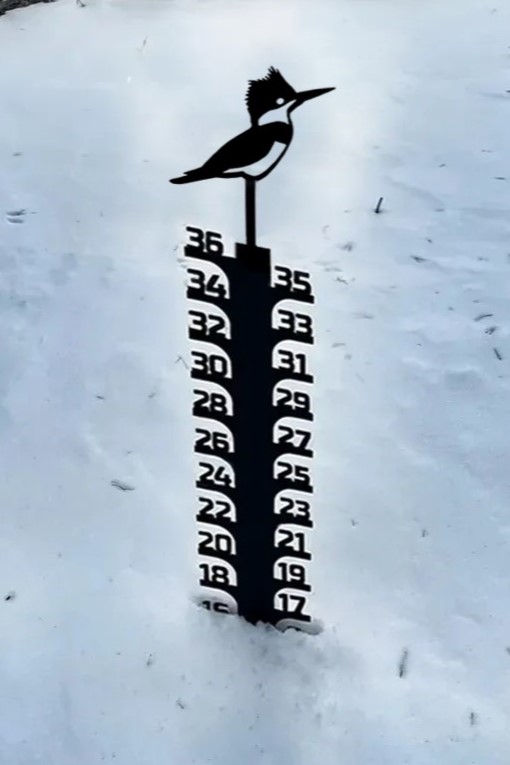 ❄Iron Art Snow Gauge-Great Unique Gift🎁