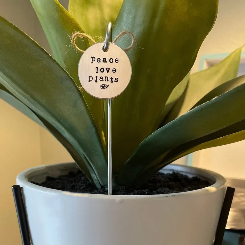 🌱 Garden Potted Plant Decoration