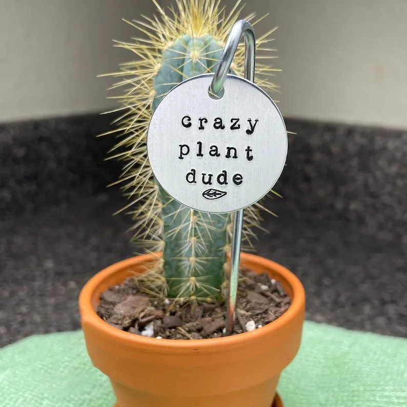 🌱 Garden Potted Plant Decoration