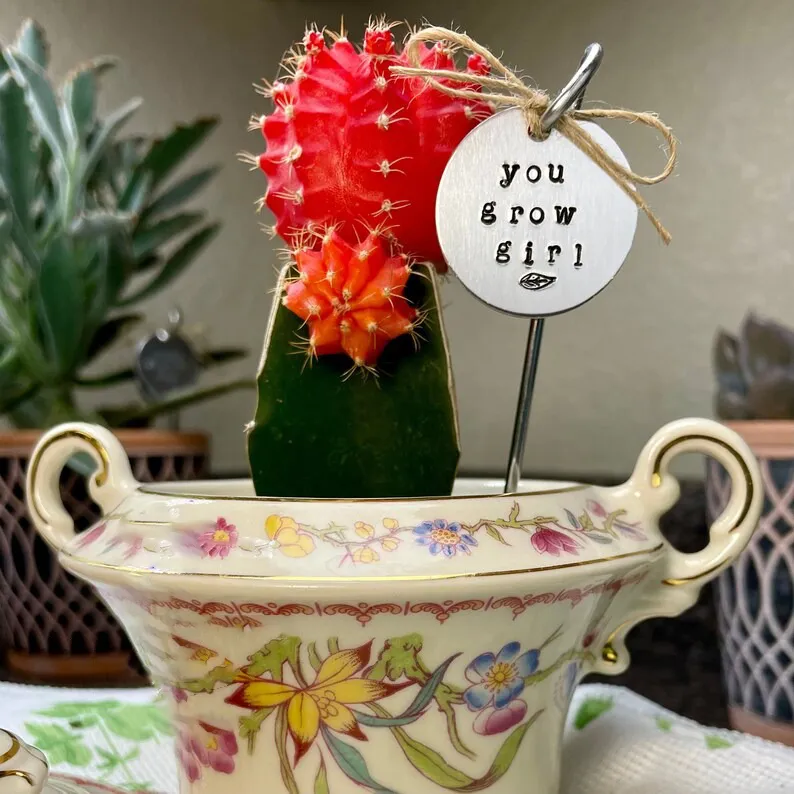 🌱 Garden Potted Plant Decoration