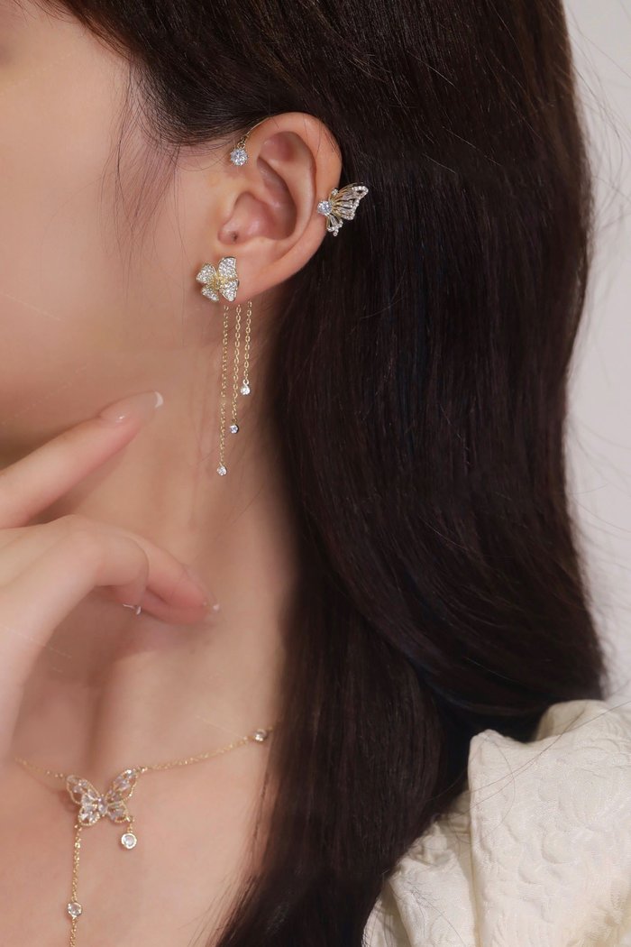 ✨Butterfly Tassel Style Zircon Earrings