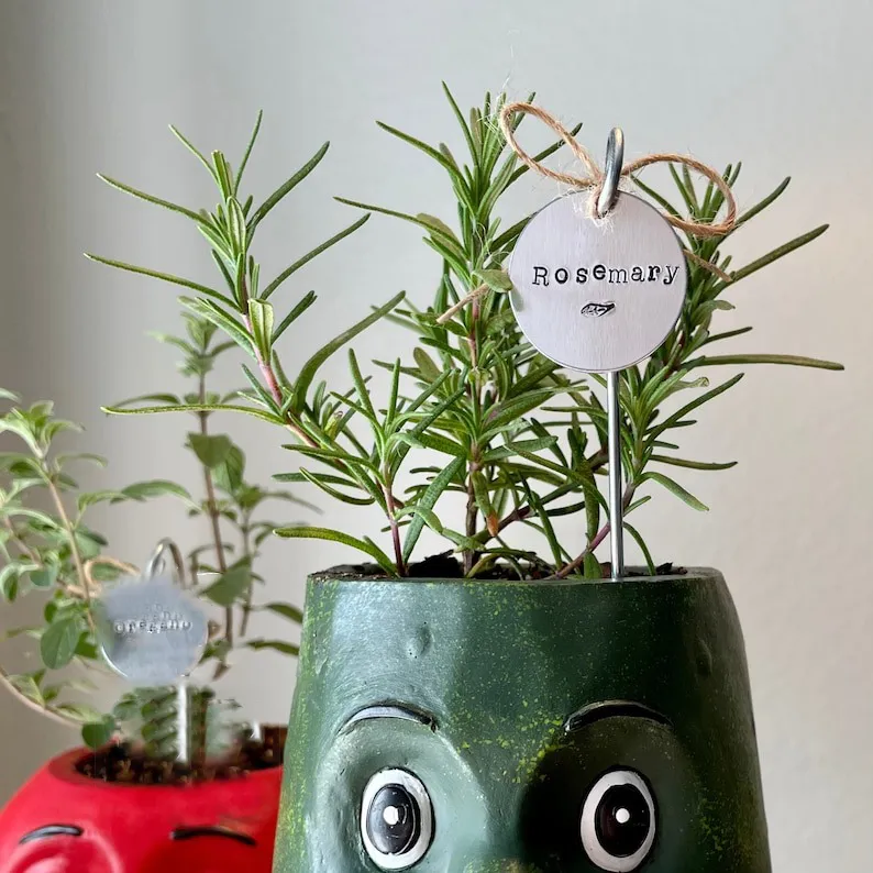 🌱 Garden Potted Plant Decoration