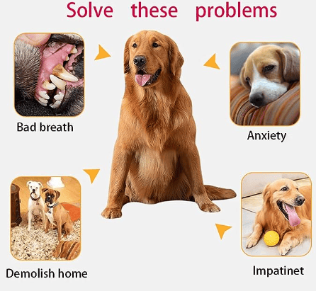 🔥2023 New Dog Companion For Heavy Chewers