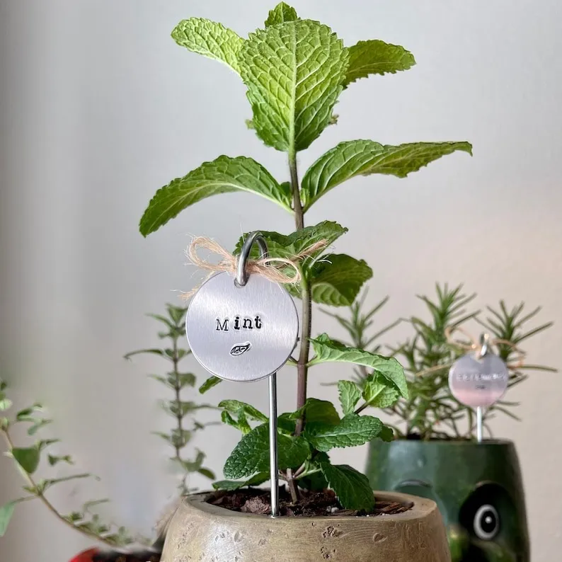 🌱 Garden Potted Plant Decoration