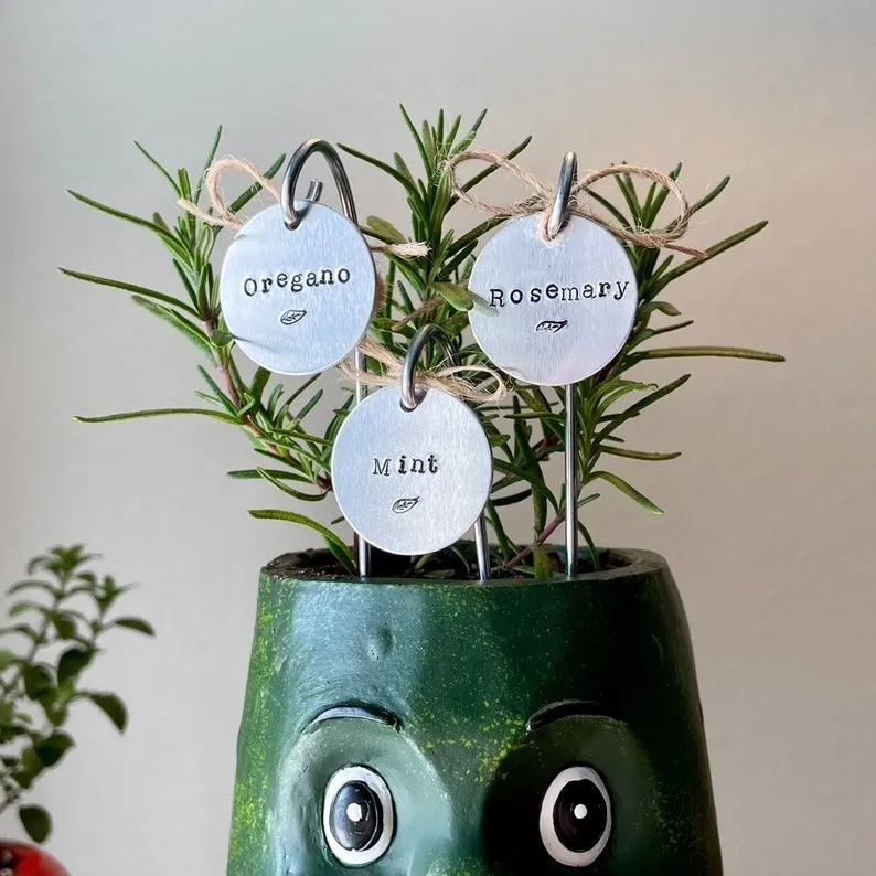 🌱 Garden Potted Plant Decoration