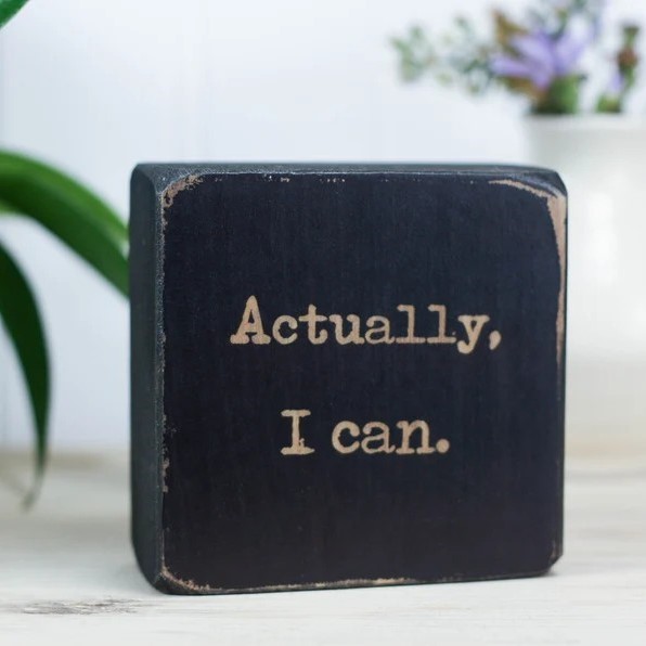 😆Mini Funny Sarcastic Desk Sign