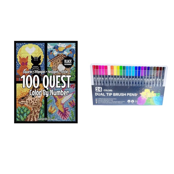 🎨100 QUEST Color by Numbers Book