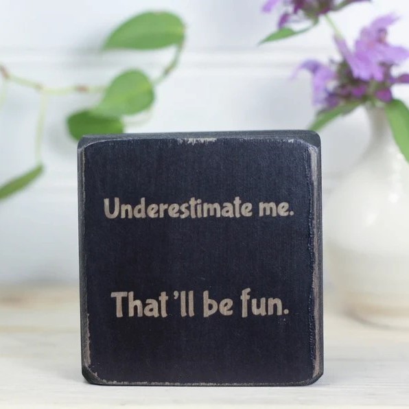 😆Mini Funny Sarcastic Desk Sign