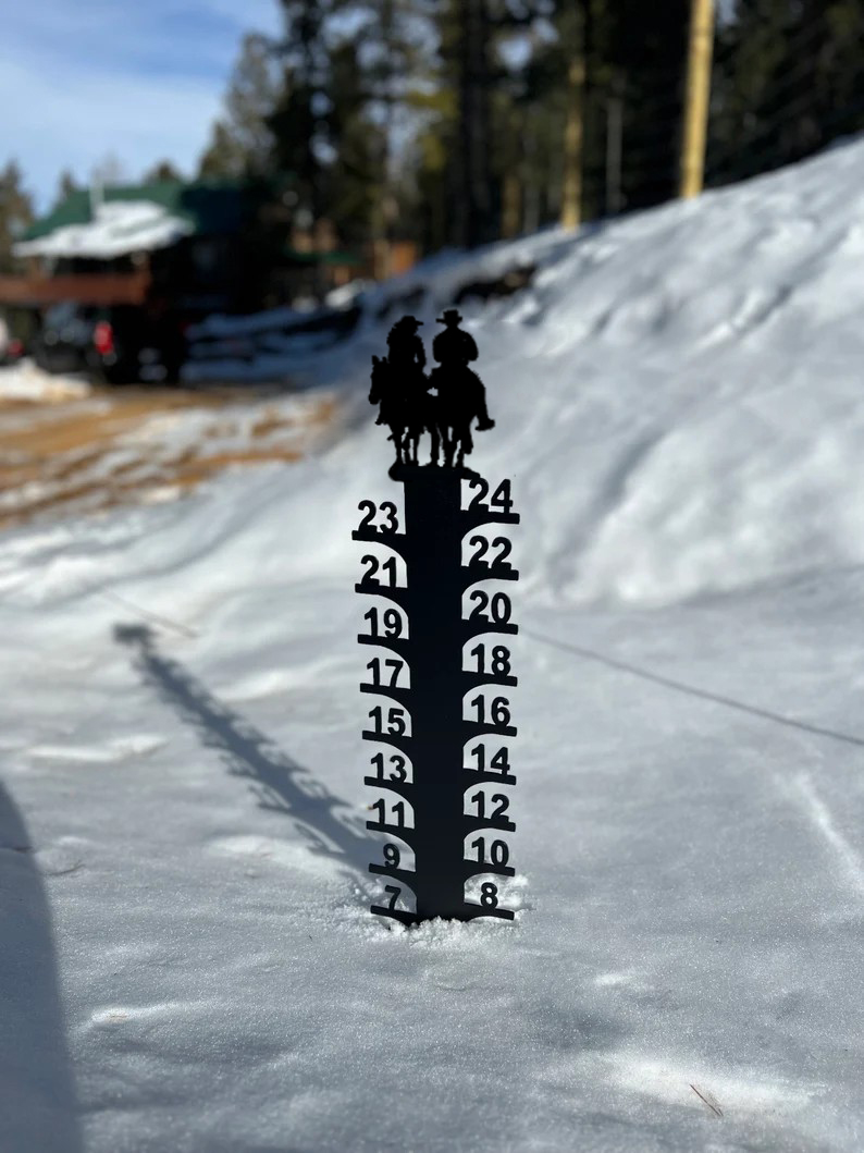 ❄Iron Art Snow Gauge-Great Unique Gift🎁