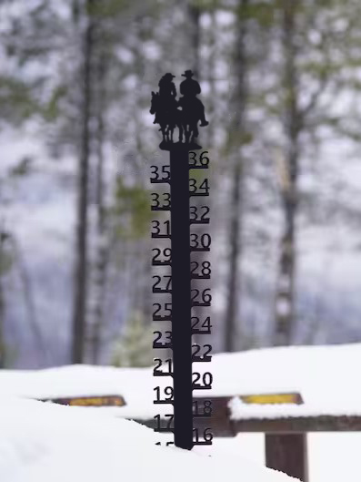 ❄Iron Art Snow Gauge-Great Unique Gift🎁